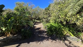 GC-Parque Botanico de Maspalomas 2025-060.jpg